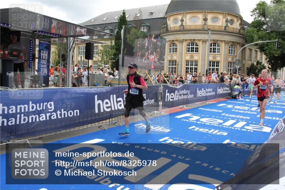 29.06.2025 - hella hamburg halbmarathon Michael Strokosch http://msf.ph/oto/8325978 29.06.2025 10:48:49 Ziel 1094, 1884, 1892, 2442, 9482, 11519, 12533, 15309, 15384, 16653, 17007, 17127 meine-sportfotos.de