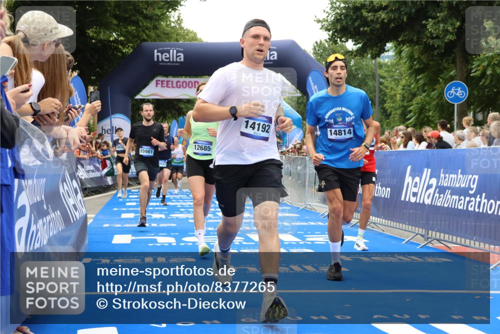 29.06.2025 - hella hamburg halbmarathon Strokosch-Dieckow http://msf.ph/oto/8377265 29.06.2025 10:48:11 Ziel 1914, 4324, 4711, 7599, 8916, 9544, 9626, 9638, 9770, 11211, 11467, 12685, 14192, 14797, 14814, 15590, 15629, 15735, 15973, 15981, 16094, 16149, 16269, 18963, 19127 meine-sportfotos.de
