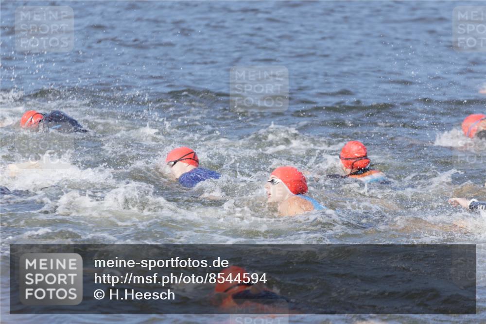 10.08.2025 - GEWOBA Citytriathlon Bremen H.Heesch http://msf.ph/oto/8544594 10.08.2025 10:03:59 Schwimmen  meine-sportfotos.de
