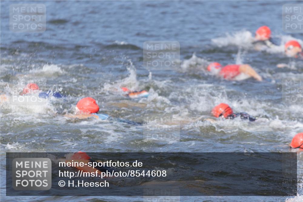 10.08.2025 - GEWOBA Citytriathlon Bremen H.Heesch http://msf.ph/oto/8544608 10.08.2025 10:03:59 Schwimmen  meine-sportfotos.de
