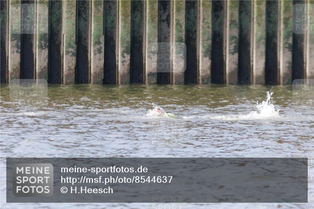 10.08.2025 - GEWOBA Citytriathlon Bremen H.Heesch http://msf.ph/oto/8544637 10.08.2025 10:04:20 Schwimmen  meine-sportfotos.de