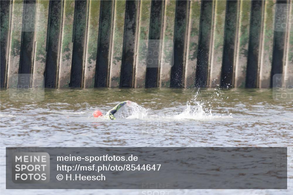 10.08.2025 - GEWOBA Citytriathlon Bremen H.Heesch http://msf.ph/oto/8544647 10.08.2025 10:04:20 Schwimmen  meine-sportfotos.de