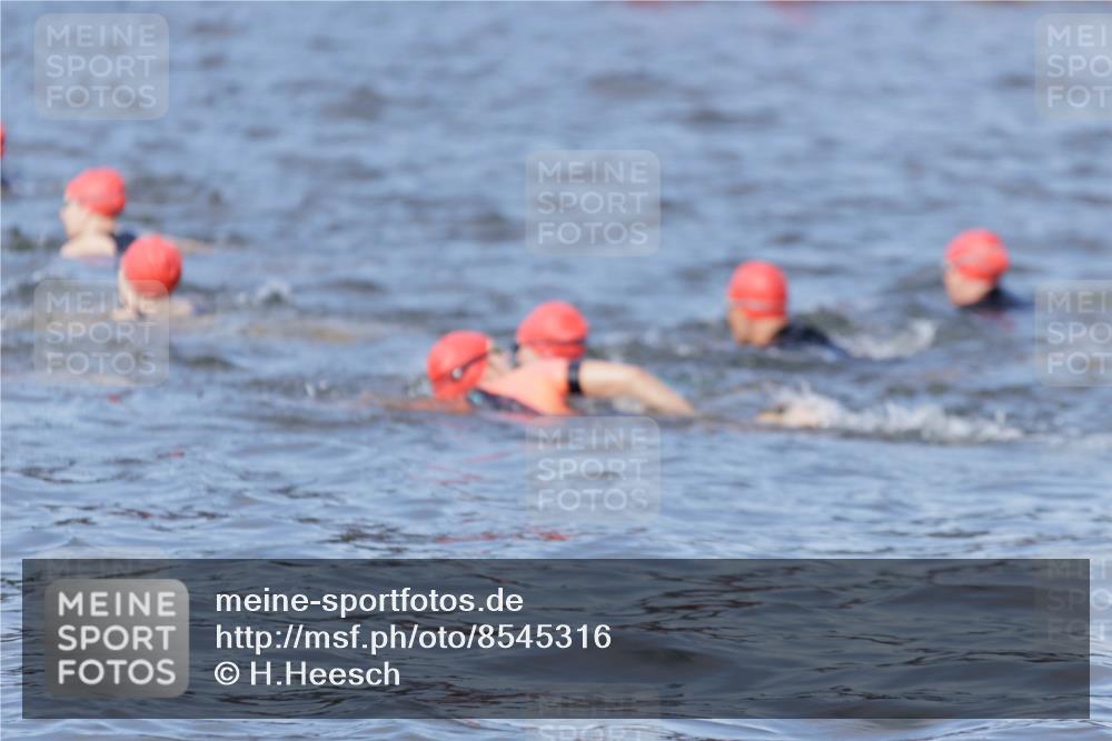 10.08.2025 - GEWOBA Citytriathlon Bremen H.Heesch http://msf.ph/oto/8545316 10.08.2025 10:04:45 Schwimmen  meine-sportfotos.de