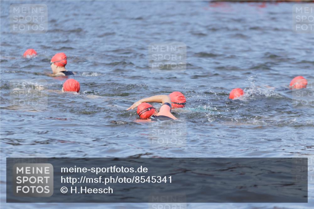 10.08.2025 - GEWOBA Citytriathlon Bremen H.Heesch http://msf.ph/oto/8545341 10.08.2025 10:04:46 Schwimmen  meine-sportfotos.de