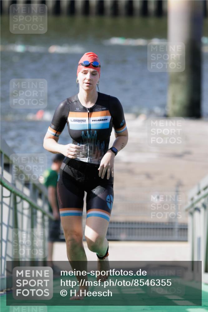 10.08.2025 - GEWOBA Citytriathlon Bremen H.Heesch http://msf.ph/oto/8546355 10.08.2025 10:17:28 Schwimmen 441 meine-sportfotos.de