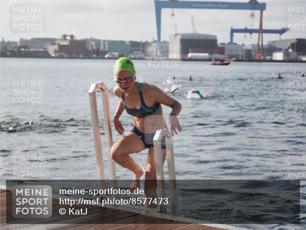 17.08.2025 - KN Förde Triathlon 2025 KatJ http://msf.ph/oto/8577473 17.08.2025 09:17:11 Schwimmen 158, 169, 204, 158, 169, 204 meine-sportfotos.de