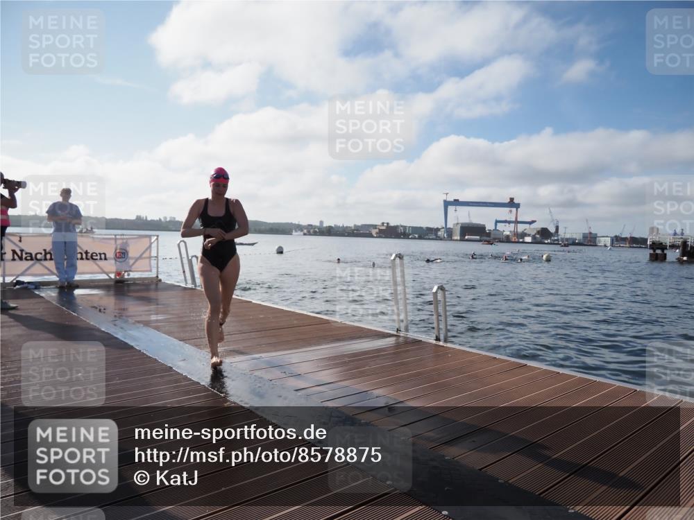 17.08.2025 - KN Förde Triathlon 2025 KatJ http://msf.ph/oto/8578875 17.08.2025 09:19:52 Schwimmen 163, 190, 195, 202, 163, 190, 202 meine-sportfotos.de