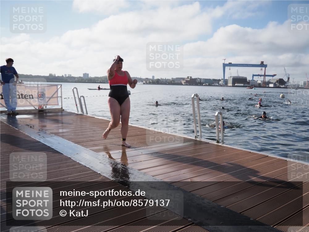 17.08.2025 - KN Förde Triathlon 2025 KatJ http://msf.ph/oto/8579137 17.08.2025 09:20:19 Schwimmen 179, 196, 211, 179, 196 meine-sportfotos.de