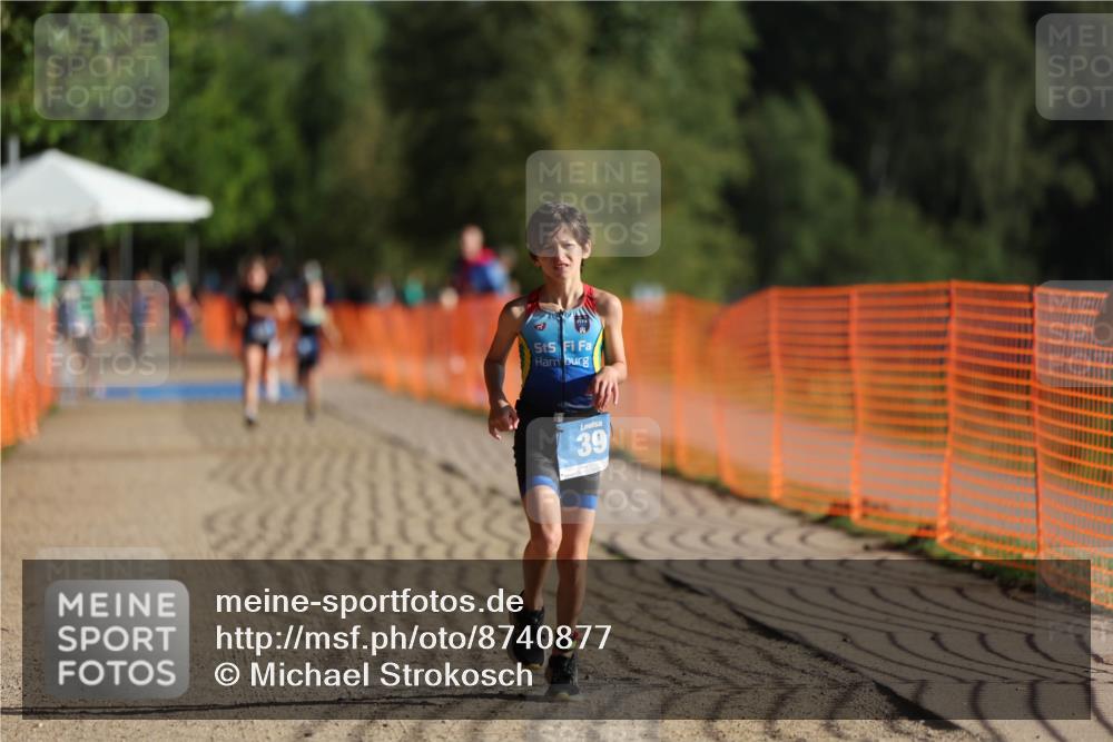 07.09.2025 - 19. Norderstedt Triathlon Michael Strokosch http://msf.ph/oto/8740877 07.09.2025 09:15:01 Laufen 17, 34, 39 meine-sportfotos.de