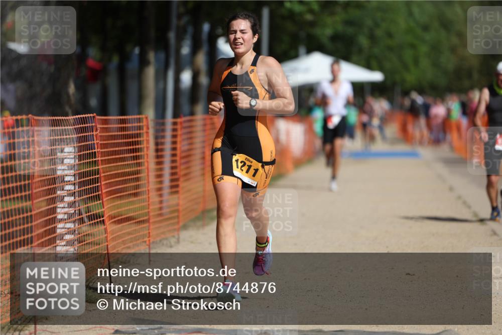 07.09.2025 - 19. Norderstedt Triathlon Michael Strokosch http://msf.ph/oto/8744876 07.09.2025 11:57:56 Laufen 300, 1179, 1211, 1219 meine-sportfotos.de