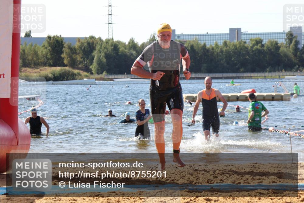 07.09.2025 - 19. Norderstedt Triathlon Luisa Fischer http://msf.ph/oto/8755201 07.09.2025 11:44:31 Schwimmen 216, 695, 756, 1280, 1361, 1378 meine-sportfotos.de