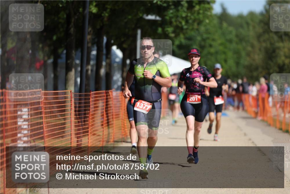 07.09.2025 - 19. Norderstedt Triathlon Michael Strokosch http://msf.ph/oto/8758702 07.09.2025 12:05:44 Laufen 201, 237, 815, 1225, 1377 meine-sportfotos.de
