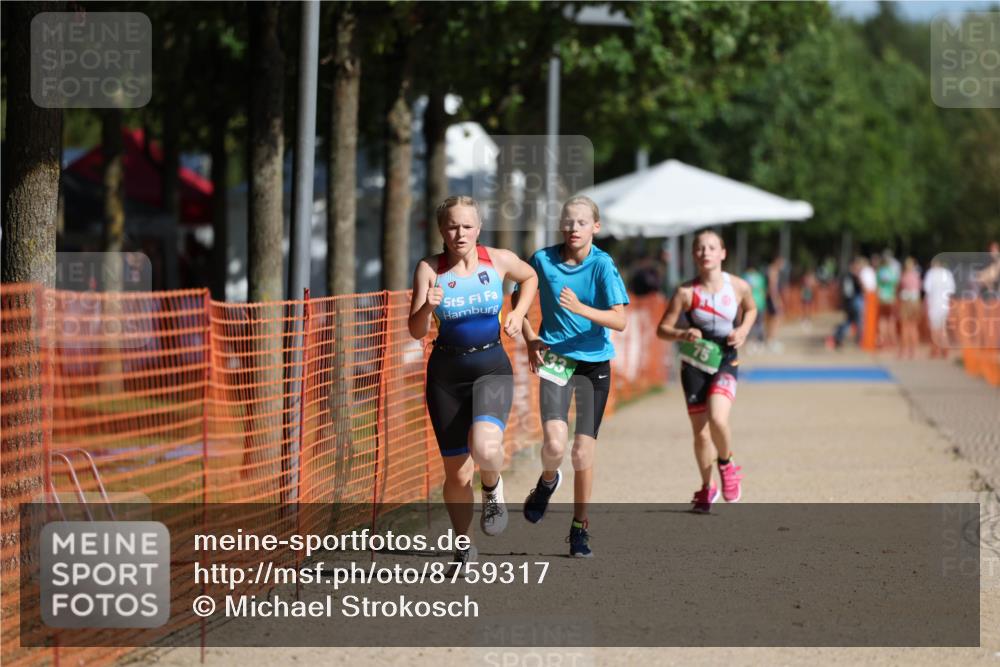07.09.2025 - 19. Norderstedt Triathlon Michael Strokosch http://msf.ph/oto/8759317 07.09.2025 11:06:28 Laufen 67, 75, 133 meine-sportfotos.de
