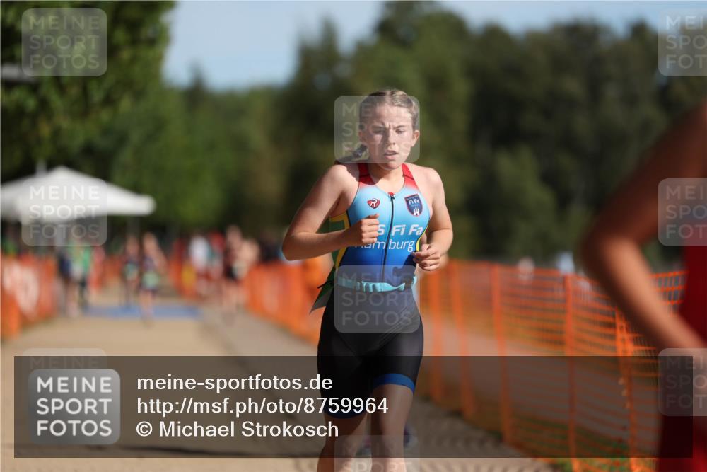 07.09.2025 - 19. Norderstedt Triathlon Michael Strokosch http://msf.ph/oto/8759964 07.09.2025 10:45:01 Laufen 108, 131, 1111, 1119 meine-sportfotos.de