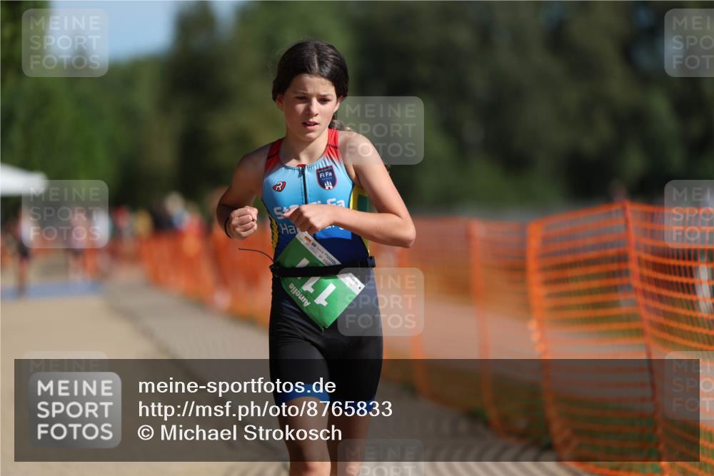 07.09.2025 - 19. Norderstedt Triathlon Michael Strokosch http://msf.ph/oto/8765833 07.09.2025 10:49:24 Laufen 111, 120 meine-sportfotos.de