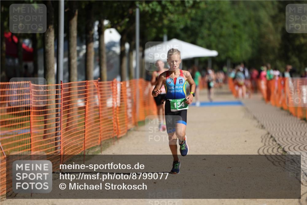 07.09.2025 - 19. Norderstedt Triathlon Michael Strokosch http://msf.ph/oto/8799077 07.09.2025 10:55:39 Laufen 134, 637, 661, 680 meine-sportfotos.de