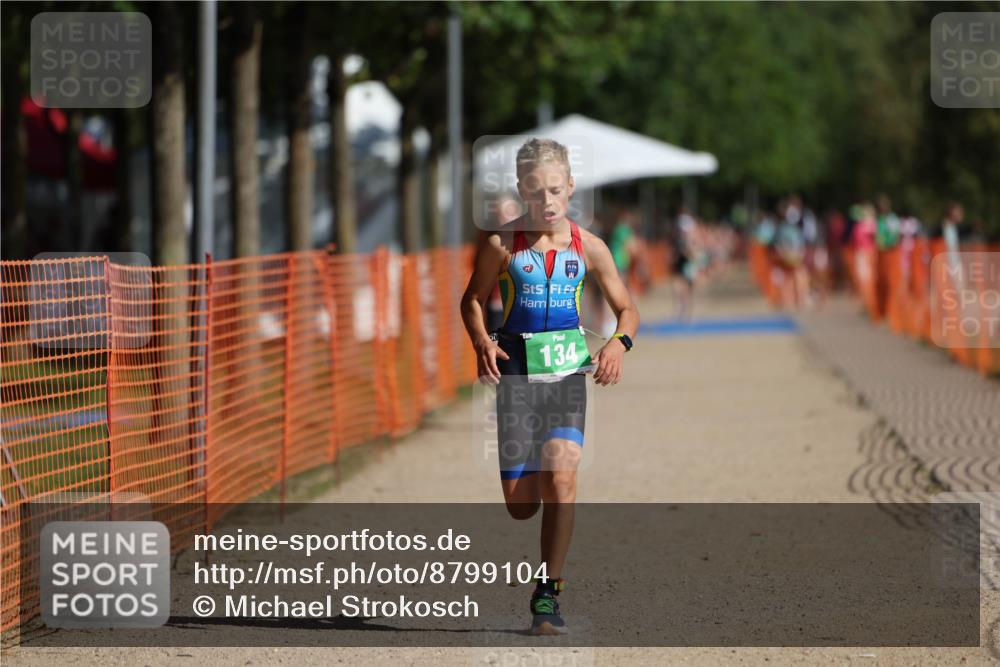 07.09.2025 - 19. Norderstedt Triathlon Michael Strokosch http://msf.ph/oto/8799104 07.09.2025 10:55:40 Laufen 134, 637, 680 meine-sportfotos.de