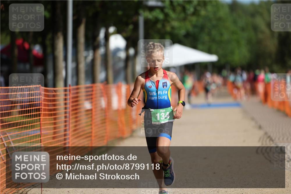 07.09.2025 - 19. Norderstedt Triathlon Michael Strokosch http://msf.ph/oto/8799118 07.09.2025 10:55:40 Laufen 134, 637, 680 meine-sportfotos.de