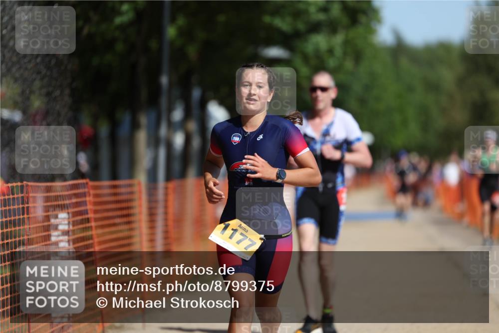 07.09.2025 - 19. Norderstedt Triathlon Michael Strokosch http://msf.ph/oto/8799375 07.09.2025 11:59:35 Laufen 296, 1177, 1383 meine-sportfotos.de