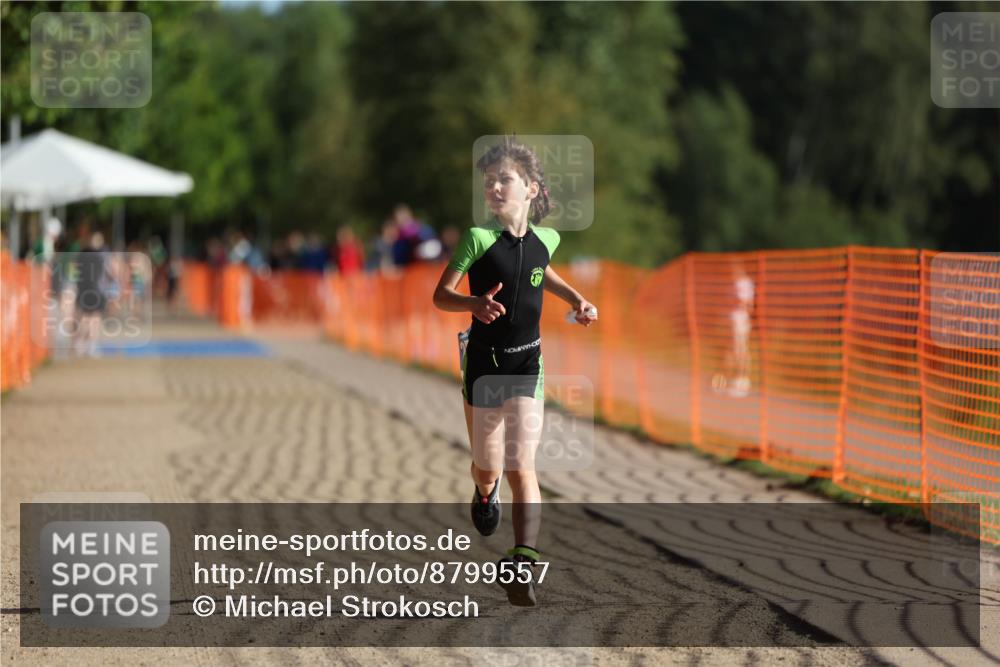 07.09.2025 - 19. Norderstedt Triathlon Michael Strokosch http://msf.ph/oto/8799557 07.09.2025 09:12:55 Laufen 25, 54 meine-sportfotos.de