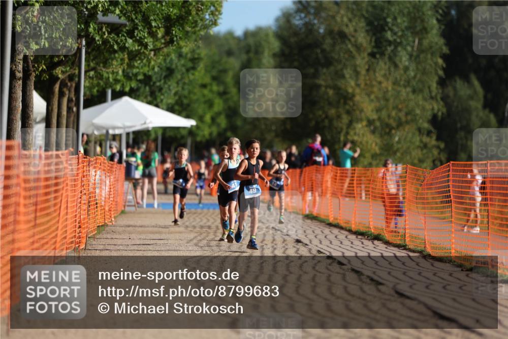 07.09.2025 - 19. Norderstedt Triathlon Michael Strokosch http://msf.ph/oto/8799683 07.09.2025 09:13:15 Laufen 41, 49 meine-sportfotos.de
