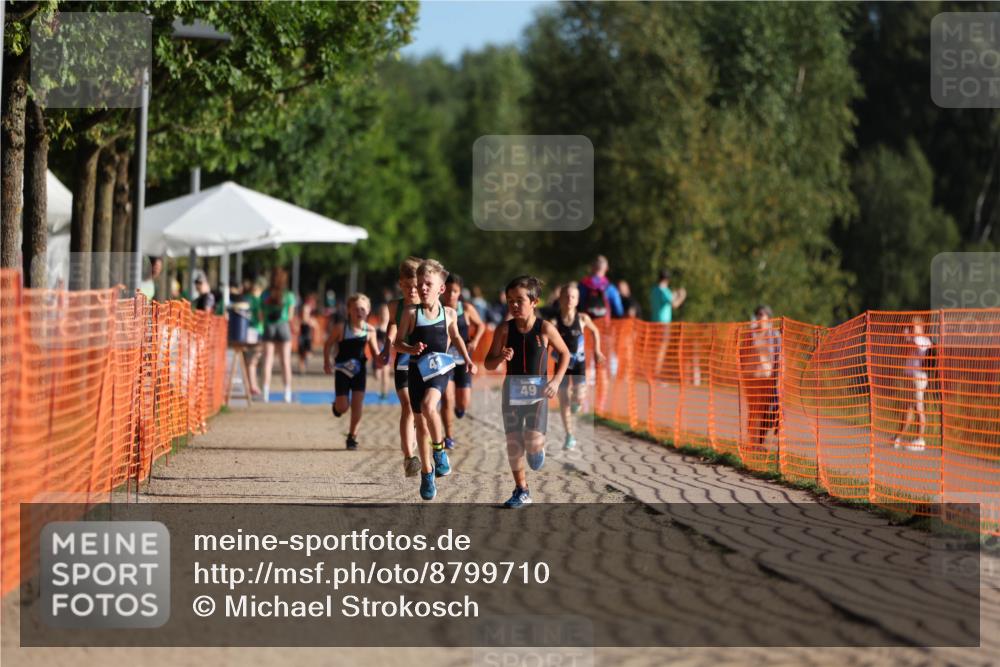 07.09.2025 - 19. Norderstedt Triathlon Michael Strokosch http://msf.ph/oto/8799710 07.09.2025 09:13:16 Laufen 3, 41, 49 meine-sportfotos.de