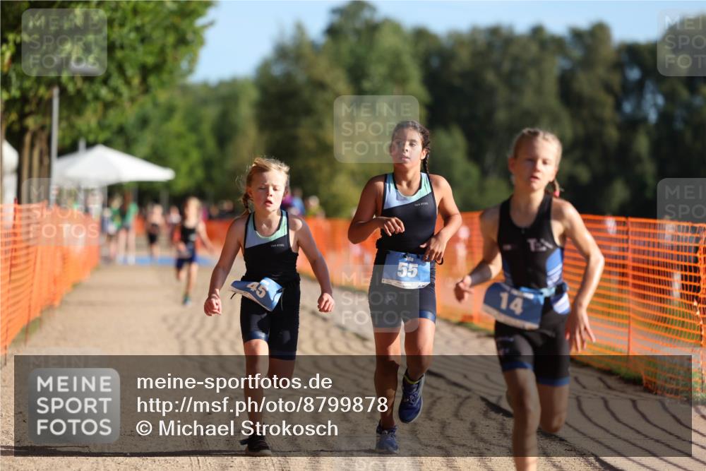 07.09.2025 - 19. Norderstedt Triathlon Michael Strokosch http://msf.ph/oto/8799878 07.09.2025 09:13:26 Laufen 3, 14, 29, 41, 45, 49, 55 meine-sportfotos.de