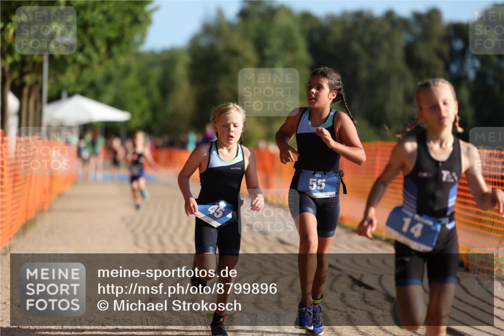 07.09.2025 - 19. Norderstedt Triathlon Michael Strokosch http://msf.ph/oto/8799896 07.09.2025 09:13:26 Laufen 3, 14, 29, 41, 45, 49, 55 meine-sportfotos.de