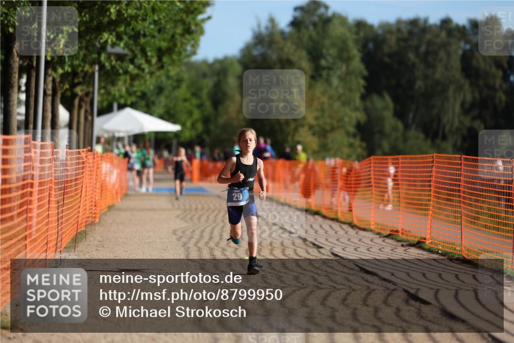 07.09.2025 - 19. Norderstedt Triathlon Michael Strokosch http://msf.ph/oto/8799950 07.09.2025 09:13:30 Laufen 14, 29, 45, 55 meine-sportfotos.de