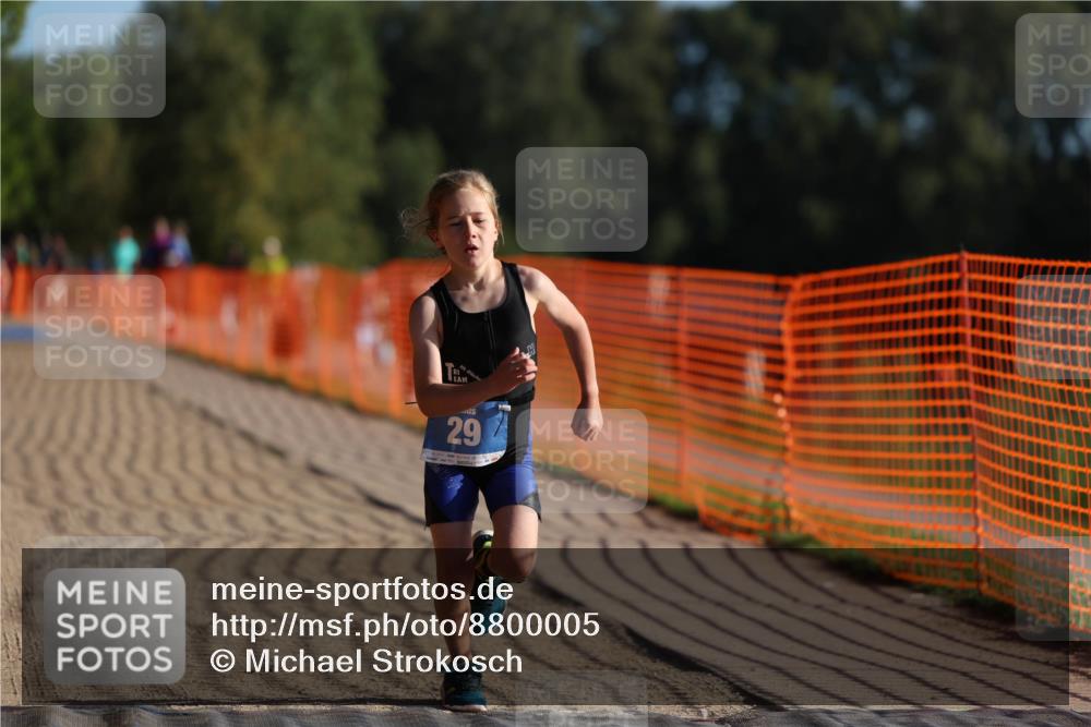 07.09.2025 - 19. Norderstedt Triathlon Michael Strokosch http://msf.ph/oto/8800005 07.09.2025 09:13:32 Laufen 29, 55 meine-sportfotos.de
