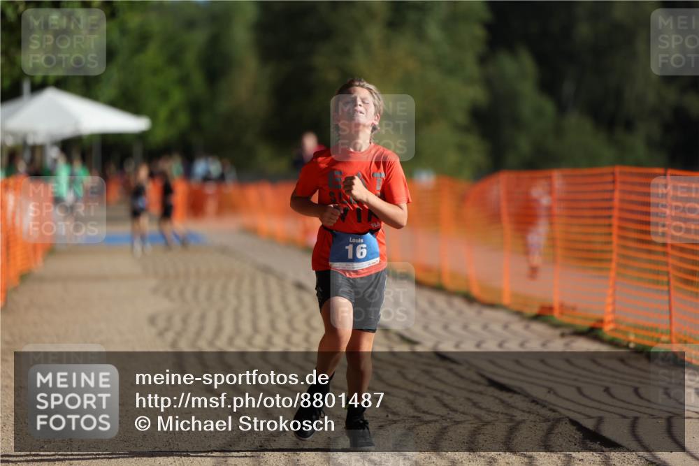 07.09.2025 - 19. Norderstedt Triathlon Michael Strokosch http://msf.ph/oto/8801487 07.09.2025 09:15:39 Laufen 16, 38 meine-sportfotos.de