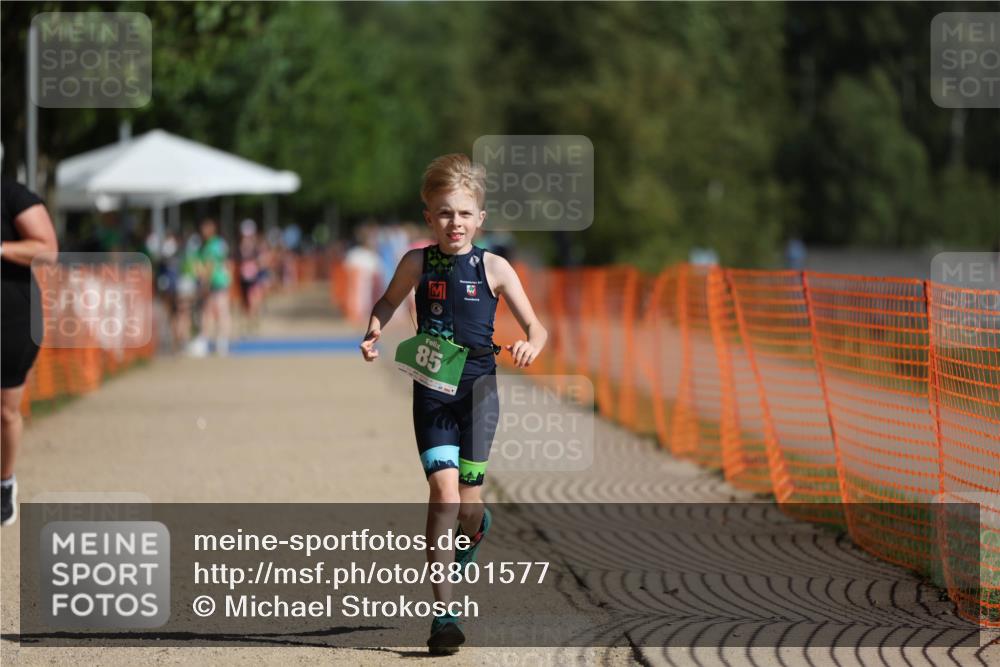 07.09.2025 - 19. Norderstedt Triathlon Michael Strokosch http://msf.ph/oto/8801577 07.09.2025 10:58:51 Laufen 85, 1113 meine-sportfotos.de