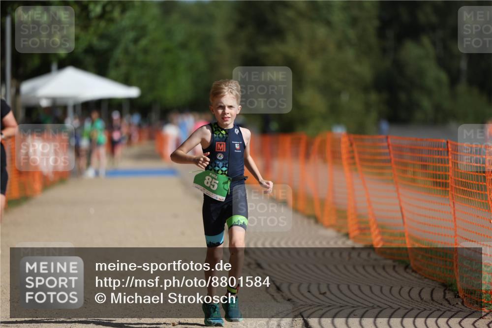 07.09.2025 - 19. Norderstedt Triathlon Michael Strokosch http://msf.ph/oto/8801584 07.09.2025 10:58:51 Laufen 85, 1113 meine-sportfotos.de