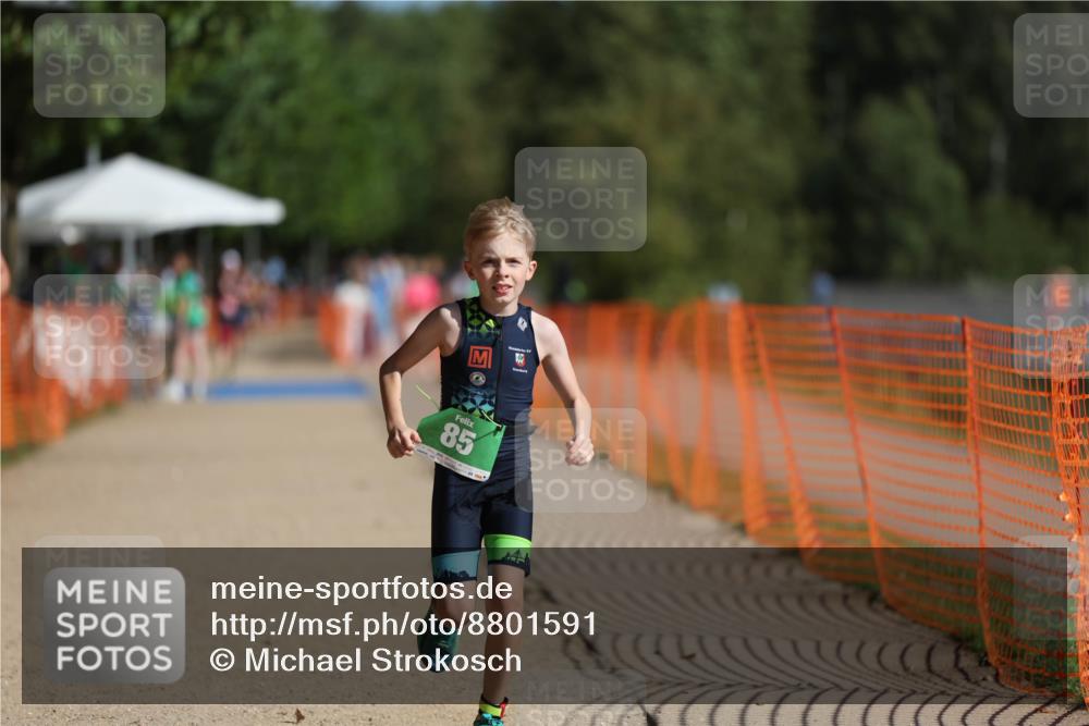 07.09.2025 - 19. Norderstedt Triathlon Michael Strokosch http://msf.ph/oto/8801591 07.09.2025 10:58:52 Laufen 85, 1113 meine-sportfotos.de