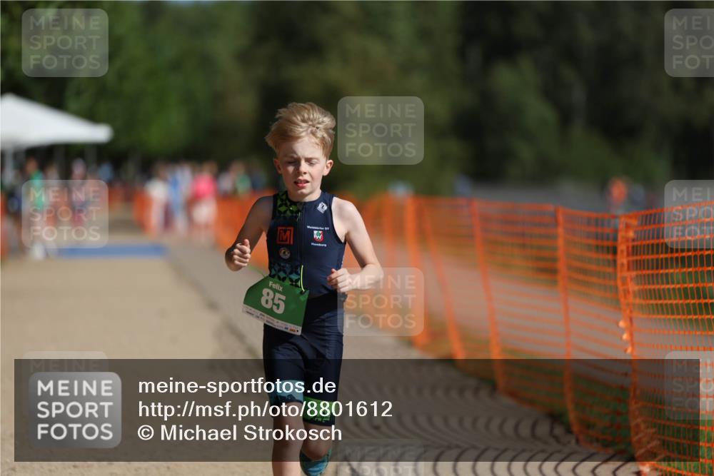 07.09.2025 - 19. Norderstedt Triathlon Michael Strokosch http://msf.ph/oto/8801612 07.09.2025 10:58:53 Laufen 85, 1113 meine-sportfotos.de