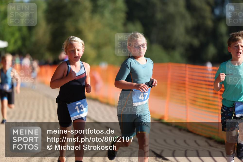 07.09.2025 - 19. Norderstedt Triathlon Michael Strokosch http://msf.ph/oto/8802187 07.09.2025 09:16:37 Laufen 8, 13, 47, 48 meine-sportfotos.de