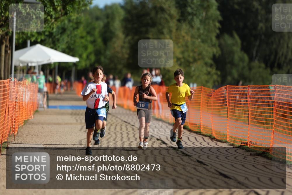07.09.2025 - 19. Norderstedt Triathlon Michael Strokosch http://msf.ph/oto/8802473 07.09.2025 09:17:03 Laufen 10, 24, 31, 32 meine-sportfotos.de
