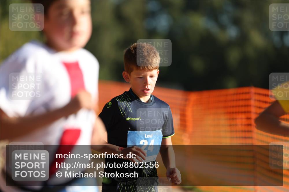 07.09.2025 - 19. Norderstedt Triathlon Michael Strokosch http://msf.ph/oto/8802556 07.09.2025 09:17:08 Laufen 10, 24, 31, 32 meine-sportfotos.de