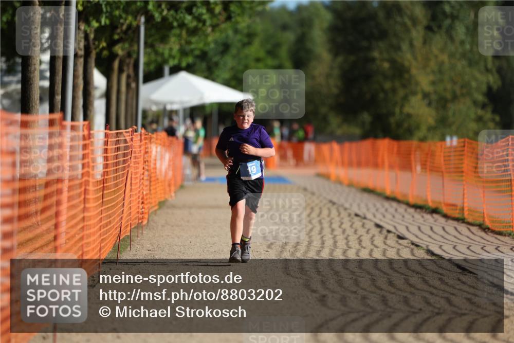 07.09.2025 - 19. Norderstedt Triathlon Michael Strokosch http://msf.ph/oto/8803202 07.09.2025 09:21:10 Laufen 19 meine-sportfotos.de