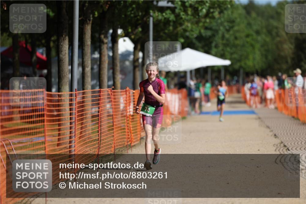 07.09.2025 - 19. Norderstedt Triathlon Michael Strokosch http://msf.ph/oto/8803261 07.09.2025 11:01:36 Laufen 74 meine-sportfotos.de