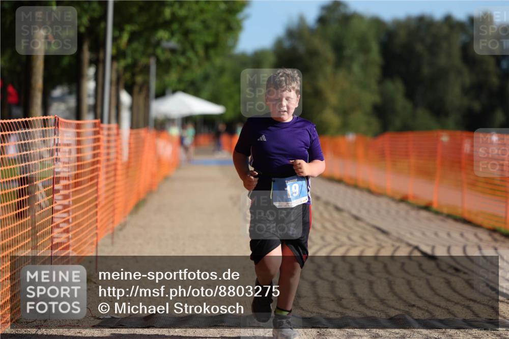 07.09.2025 - 19. Norderstedt Triathlon Michael Strokosch http://msf.ph/oto/8803275 07.09.2025 09:21:16 Laufen 19 meine-sportfotos.de