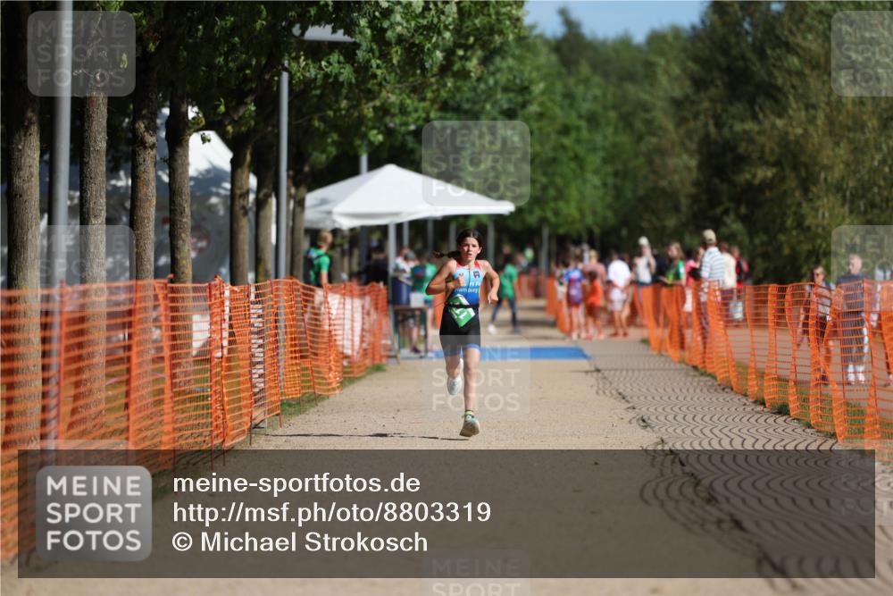 07.09.2025 - 19. Norderstedt Triathlon Michael Strokosch http://msf.ph/oto/8803319 07.09.2025 11:01:42 Laufen 74, 111 meine-sportfotos.de