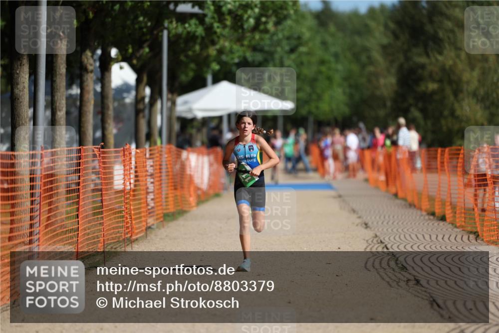 07.09.2025 - 19. Norderstedt Triathlon Michael Strokosch http://msf.ph/oto/8803379 07.09.2025 11:01:44 Laufen 74, 111 meine-sportfotos.de