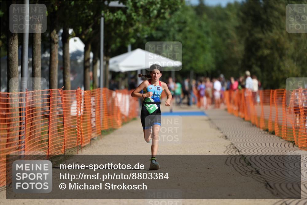 07.09.2025 - 19. Norderstedt Triathlon Michael Strokosch http://msf.ph/oto/8803384 07.09.2025 11:01:44 Laufen 74, 111 meine-sportfotos.de