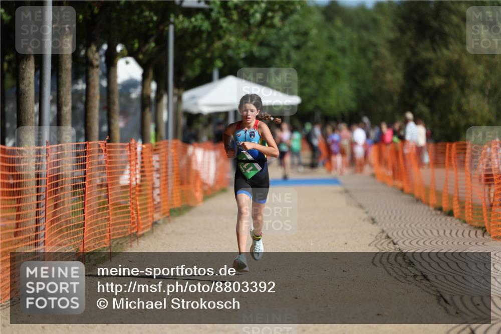 07.09.2025 - 19. Norderstedt Triathlon Michael Strokosch http://msf.ph/oto/8803392 07.09.2025 11:01:45 Laufen 74, 111 meine-sportfotos.de