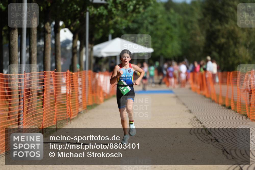 07.09.2025 - 19. Norderstedt Triathlon Michael Strokosch http://msf.ph/oto/8803401 07.09.2025 11:01:45 Laufen 74, 111 meine-sportfotos.de