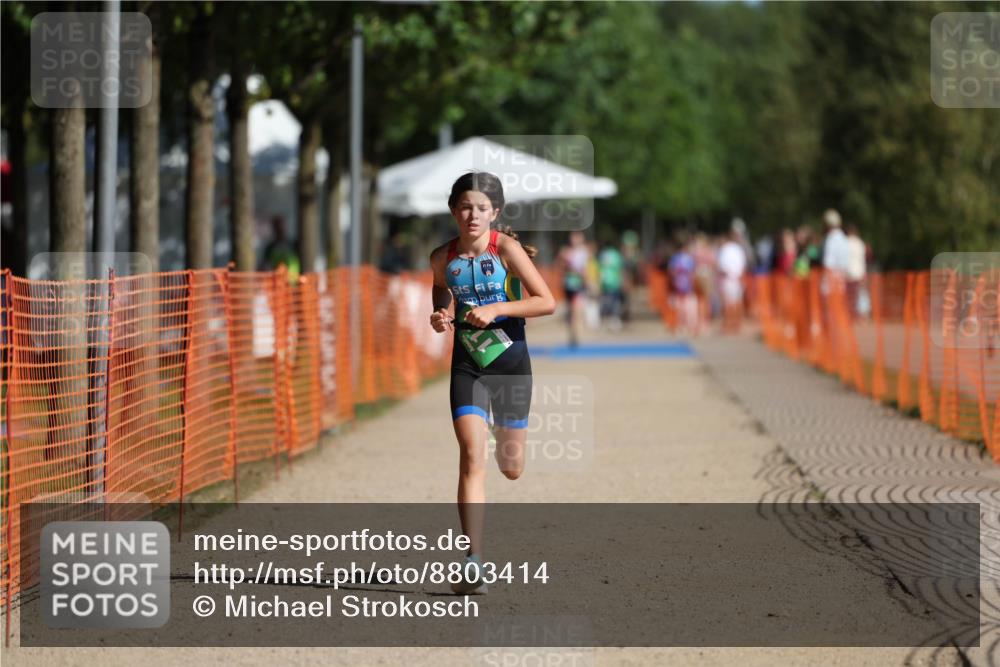 07.09.2025 - 19. Norderstedt Triathlon Michael Strokosch http://msf.ph/oto/8803414 07.09.2025 11:01:45 Laufen 74, 111 meine-sportfotos.de