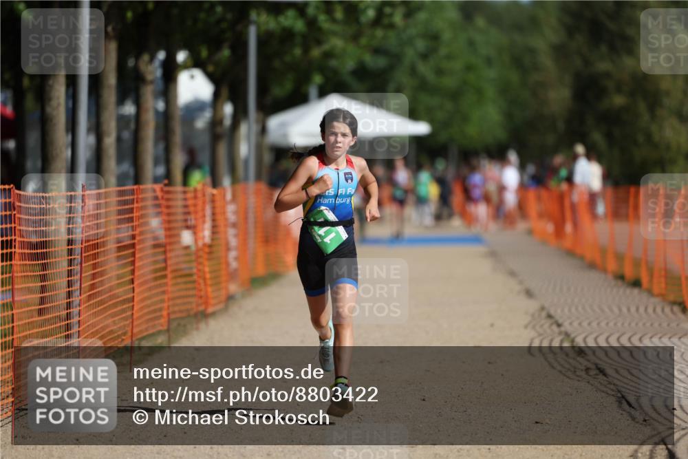 07.09.2025 - 19. Norderstedt Triathlon Michael Strokosch http://msf.ph/oto/8803422 07.09.2025 11:01:46 Laufen 111 meine-sportfotos.de