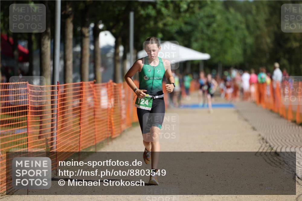 07.09.2025 - 19. Norderstedt Triathlon Michael Strokosch http://msf.ph/oto/8803549 07.09.2025 11:02:32 Laufen 124 meine-sportfotos.de