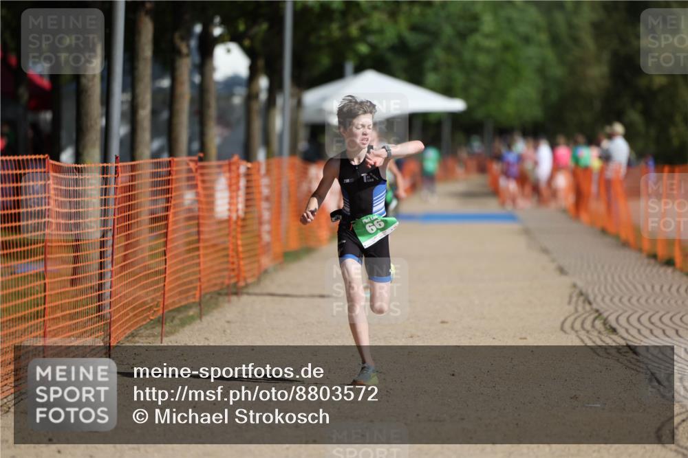 07.09.2025 - 19. Norderstedt Triathlon Michael Strokosch http://msf.ph/oto/8803572 07.09.2025 11:02:41 Laufen 56, 66 meine-sportfotos.de